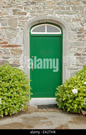Green wooden door in a rustic stone wall with plants Stock Photo