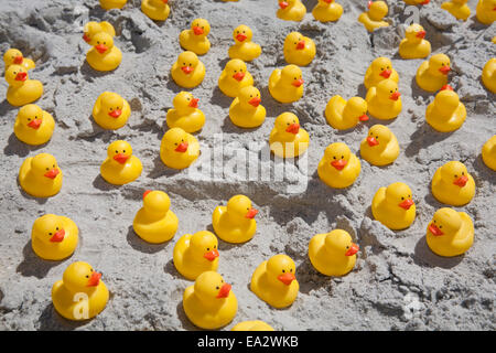 Rubber ducks massed on the beach. Stock Photo