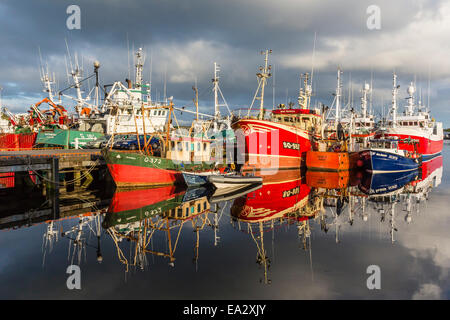 Sunset reflected on the commercial fishing fleet at Killybegs, County Donegal, Ulster, Republic of Ireland Stock Photo