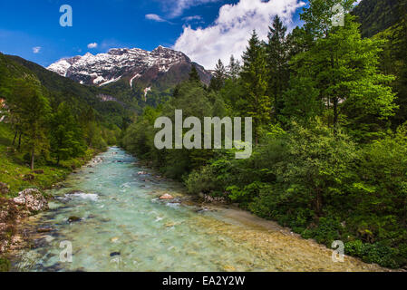 Soca River and Julian Alps in the Soca Valley, Triglav National Park (Triglavski Narodni Park), Slovenia, Europe Stock Photo