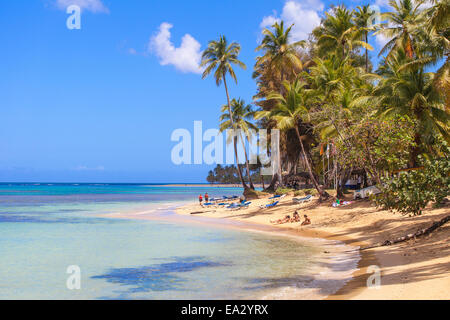 Beach at Las Terrenas, Samana Peninsula, Dominican Republic, West Indies, Caribbean, Central America Stock Photo