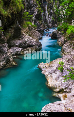 Tolminka River, Tolmin Gorges, Triglav National Park (Triglavski Narodni Park), Slovenia, Europe Stock Photo