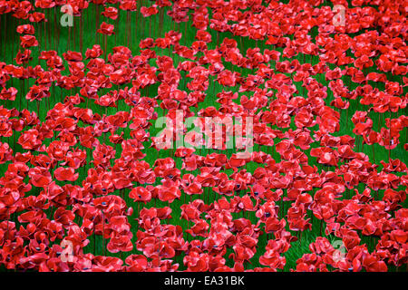 Blood Swept Lands and Seas of Red installation at The Tower of London, London, England, UK Stock Photo