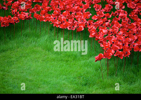 Blood Swept Lands and Seas of Red installation at The Tower of London, London, England, UK Stock Photo