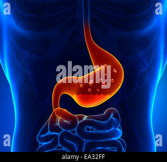 Gastric Acid Stock Photo