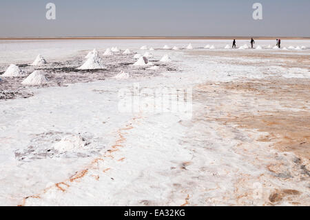 Salt flats near Shannah, Oman, Middle East Stock Photo