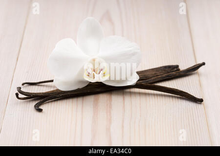 Vanilla pods and flower Stock Photo