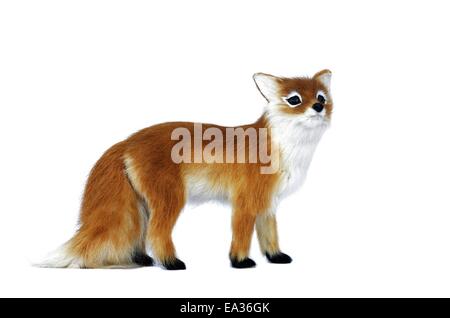 red fox on a white background Stock Photo