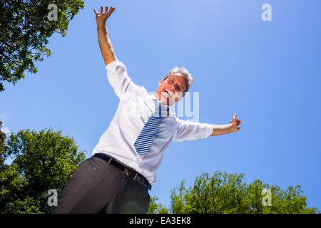 Portrait of successful businessman Stock Photo