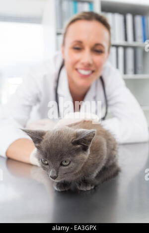 Kitten being examined by vet Stock Photo