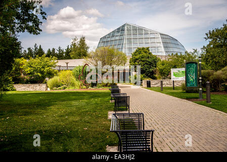 The Butterfly Conservatory in Niagara Falls Ontario Canada is home to thousands of butterflies that are free to fly around. Stock Photo