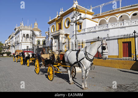 Toros de la Maestranza, bullring, Seville, Spain Stock Photo