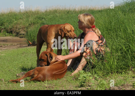 woman and 2 Rhodesian Ridgebacks Stock Photo - Alamy