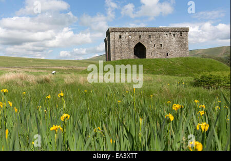 Hermitage Castle, Scotland. Picturesque early summer view of the historic ruins of Hermitage Castle’s west façade. Stock Photo