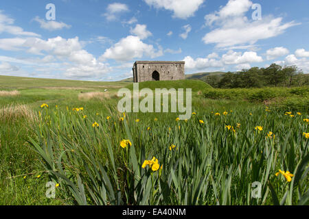 Hermitage Castle, Scotland. Picturesque early summer view of the historic ruins of Hermitage Castle’s west façade. Stock Photo