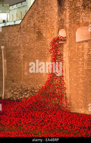 Poppies depicted as flowing blood, streaming from a window or as a river of blood. Stock Photo