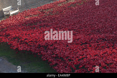 Tower of London, UK. 6th November 2014. Art installation Blood Swept Lands and Seas of Red at the Tower of London, marks 100 years since the Britain entered the First World War. 888,246 ceramic poppies will  fill the Tower's moat by armistice day 11th November. Each poppy represents a British military fatality during the war. Credit:  Geoff Shaw/Alamy Live News Stock Photo