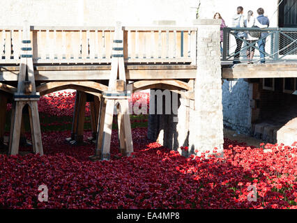 First World War Poppy Commemoration at The Tower of London. Stock Photo