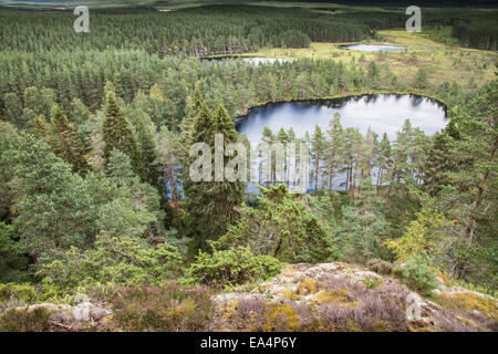 View over Uath Lochans at Glen Feshie in Scotland. Stock Photo