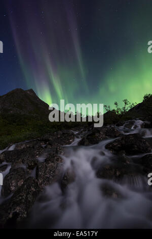 Night,Scenics,Alaska,Aurora Borealis Stock Photo