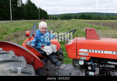 A laughing boy sat on an old Massey Ferguson farm tractor Stock Photo