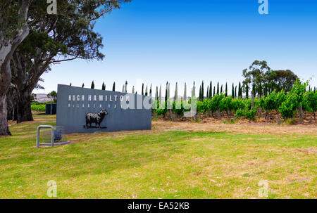 McLaren Vale, Fleurieu Peninsula, South Australia, one of Australia's Primary Wine Growing Winery Area. Stock Photo