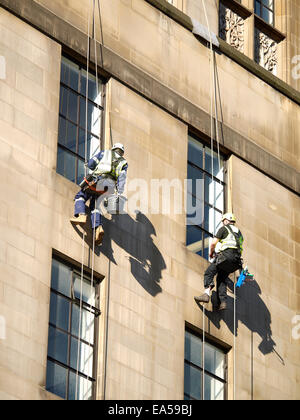 Two window cleaners on the Town Hall extension building in Manchester UK Stock Photo