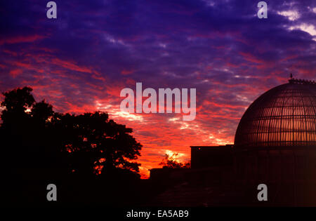 Sunset Botanic gardens Belfast, Northern Ireland Stock Photo