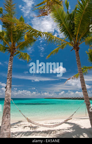 Empty hammock between palm trees on tropical beach in Maldives Stock Photo