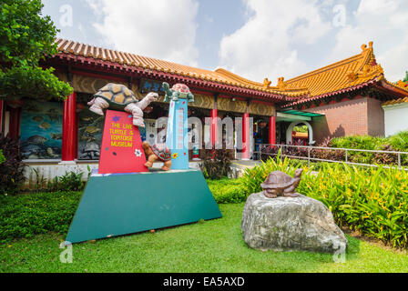 The Live Turtle and Tortoise Museum in the Chinese Gardens, Singapore Stock Photo