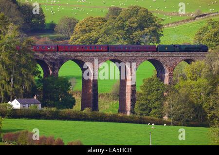 Steam locomotive 'Duchess of Sutherland' near Dry Beck Viaduct, Armathwaite, Eden Valley, Cumbria, England, UK. Stock Photo