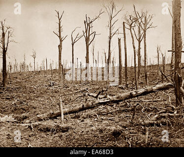 WW1 Sanctuary Wood Belgium Stock Photo