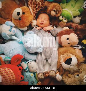 Baby boy sleeping with soft toys Stock Photo