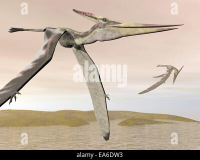 Pteranodon flying - 3D render Stock Photo