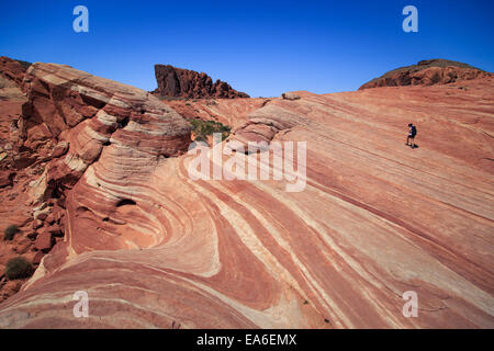 USA, Nevada, Clark County, White Domes Road, Lone hiker on Fire Wave in Valley of Fire State Park Stock Photo