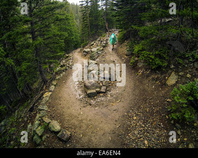 USA, Colorado, Larimer County, Hiker conquering adversity during rainy hike in Rocky Mountain National Park Stock Photo