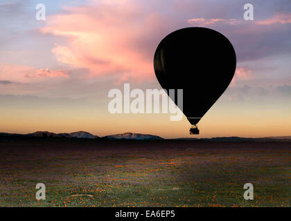 Hot air balloon on early morning Stock Photo