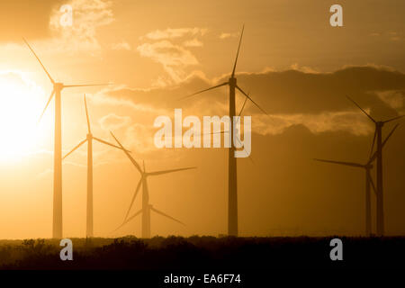 San Gorgonio Pass Wind Farm at sunset, California, United States Stock Photo
