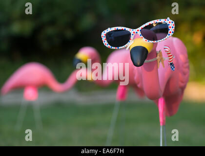 Pink plastic flamingos in backyard Stock Photo