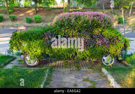 Conceptual flower decoration of small old car, ecological object metaphor Stock Photo