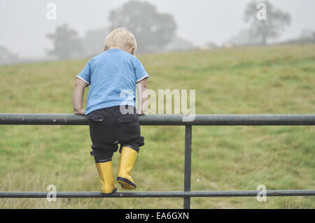 Boy climbing metal fence Stock Photo