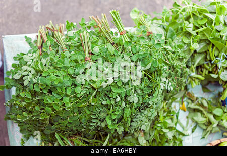 Bunches of Malunggay leaves, Moringa Oleifera for sale at a market in the Philippines. Stock Photo