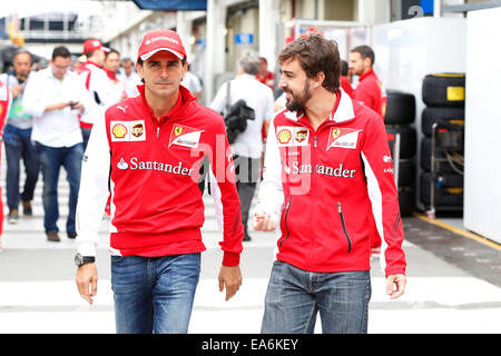 Motorsports: FIA Formula One World Championship 2014, Grand Prix of Brazil, Pedro de la Rosa (ESP, Scuderia Ferrari), #14 Fernando Alonso (ESP, Scuderia Ferrari), Stock Photo