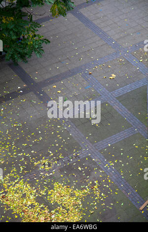 Pattern paving stone with autumn leaves. Footpath in city park Stock ...