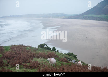 Rhosili,Rhossili,Rhossilli, bay, Llangenneth langenneth,beach,Worms Head,Worm's Gower, peninsula, Swansea,Swansea County, Wales, Stock Photo