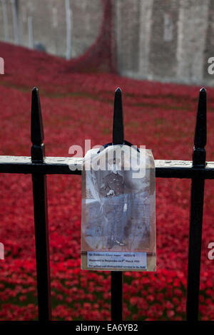 Photograph of a WW1 soldier hangs on the railings at the Tower of London in front of the 1914 centenary ceramic poppy display, Stock Photo