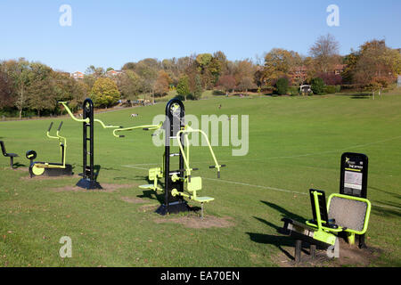 Outdoor gym equipment for public use in Coulsdon Memorial Ground Stock Photo