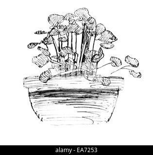 Flower pot, black and white ink sketch, colorized Stock Photo - Alamy