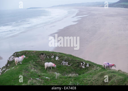 Rhosili,Rhossili,Rhossilli, bay, Llangenneth langenneth,beach,Worms Head,Worm's Gower, peninsula, Swansea,Swansea County, Wales, Stock Photo