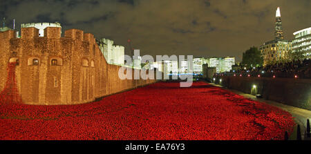 View of the Tower of London moat full of poppies at night in November 2014 Stock Photo